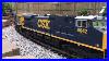 Csx_G_Scale_Train_On_My_Outdoor_Layout_01_xj