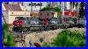 Extremely_Long_G_Scale_Train_162_Cars_01_lp