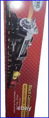 Eztec Black Canyon Express G Scale Train Set With Track, NO CONTROLLER